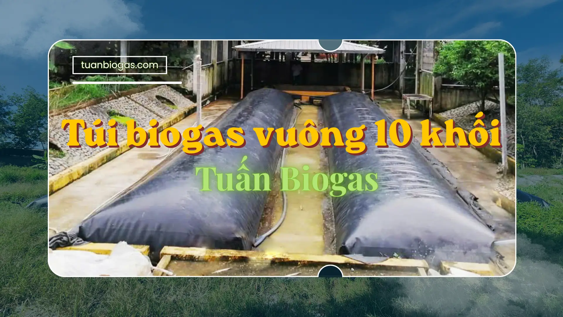 Túi Biogas Vuông 10 Khối Tuấn Biogas: Giải Pháp Xử Lý Chất Thải Cho 30 Heo Hiệu Quả Tiết Kiệm Nhất